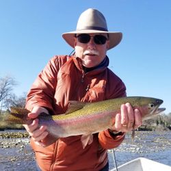 Fisherman catches a rainbow trout in CA