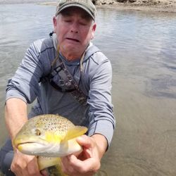 A person fishing in CA