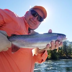 Photograph of a person fishing for a 17-inch rainbow trout in CA