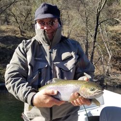 Rainbow Trout in Redding, CA