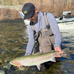 Brown Trout in Redding, CA