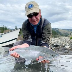 Rainbow Trout in Redding, CA