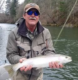 Rainbow Trout in Redding, CA