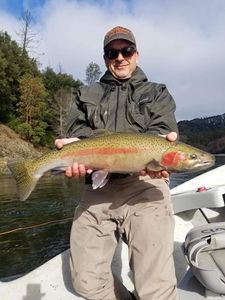 Photograph of a pink salmon measuring 29 inches, caught while fishing in Redding.