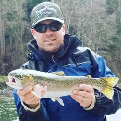Photograph of a pink salmon fish caught in Redding