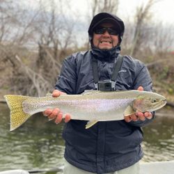Angler holds a rainbow trout in California