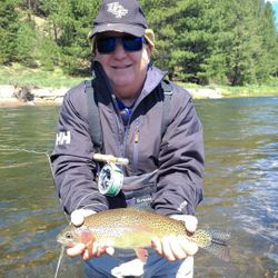 Angler catching a rainbow trout in CA
