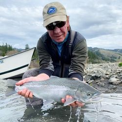 A single rainbow trout caught while fishing in Redding
