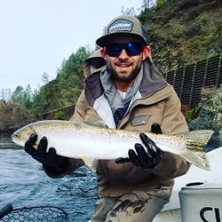 Rainbow trout, fishing in Redding