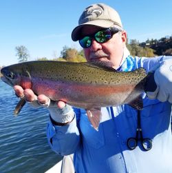 Angler with a rainbow trout fish in Redding