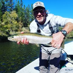 A rainbow trout caught in Redding