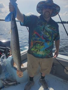 A scenic view of the Florida coastline with boats for cruises, fishing, and tours.