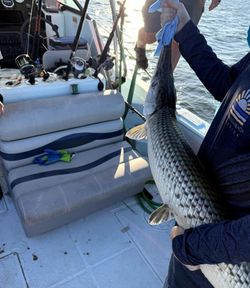 A fishing trip in FL