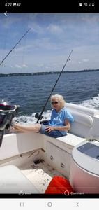 Person on a cruises, fishing, and tours adventure in Gulf Breeze