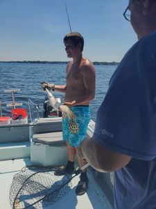 One person enjoying a fishing trip in Gulf Breeze