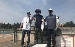 4 big fish caught on fishing trip in Toronto