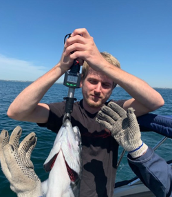 A person fishing in Toronto