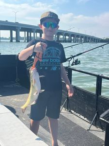 Channel catfish caught while fishing in Port Clinton