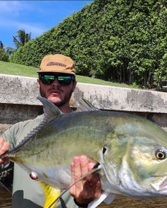 Fish-Species