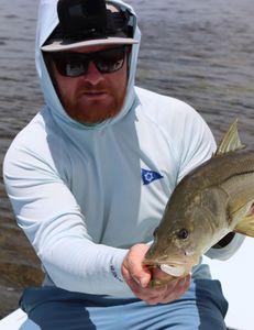 Fish-Species