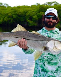 Fish-Species