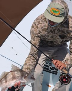 Black Drum fish caught while fishing in FL