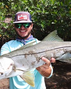 Fish-Species