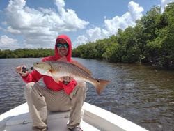 Redfish from Naples Florida 