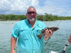 Goliath Grouper in Florida