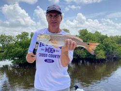 Redfish from Naples Area