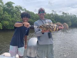 Florida Goliath Grouper in Naples