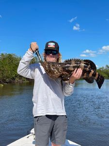 Grouper in Naples. FL 2023