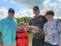 Goliath Grouper caught in Naples