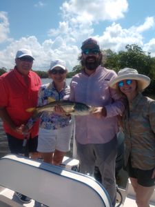 Snook Fishing