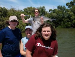 A tarpon fish caught during fishing in Naples