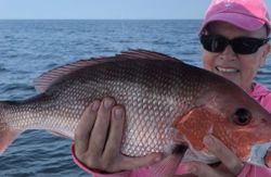 Snapper, Top Pensacola Deep Sea Fishing Charter
