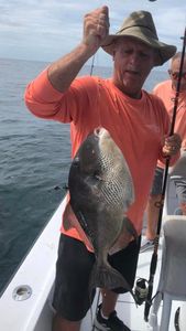 Deep Sea Fishing in Pensacola