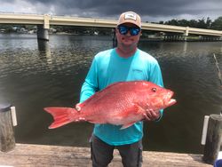 Fish-Species