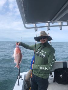 Fish-Species
