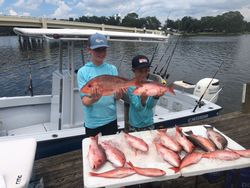 Fish-Species
