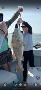 Angler with a large black drum fish caught in Pensacola