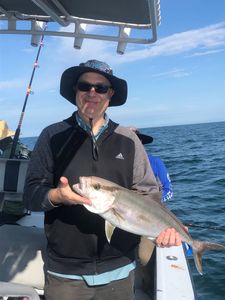 Fishing in FL with a big fish