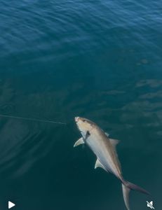 A beautiful fishing scene in Pensacola