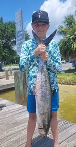 King Mackerel caught while fishing in FL