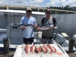 Two Little Tunny fish caught on a fishing trip in FL