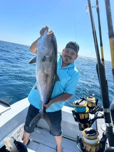 Large fish caught during fishing trip in Pensacola FL waters