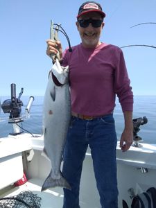 Chinook Salmon caught in Buffalo, NY