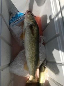 Fishing in the beautiful city of Buffalo