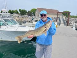 Pike-perch fish caught in Buffalo