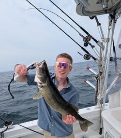 Pike-Perch caught while fishing in NY